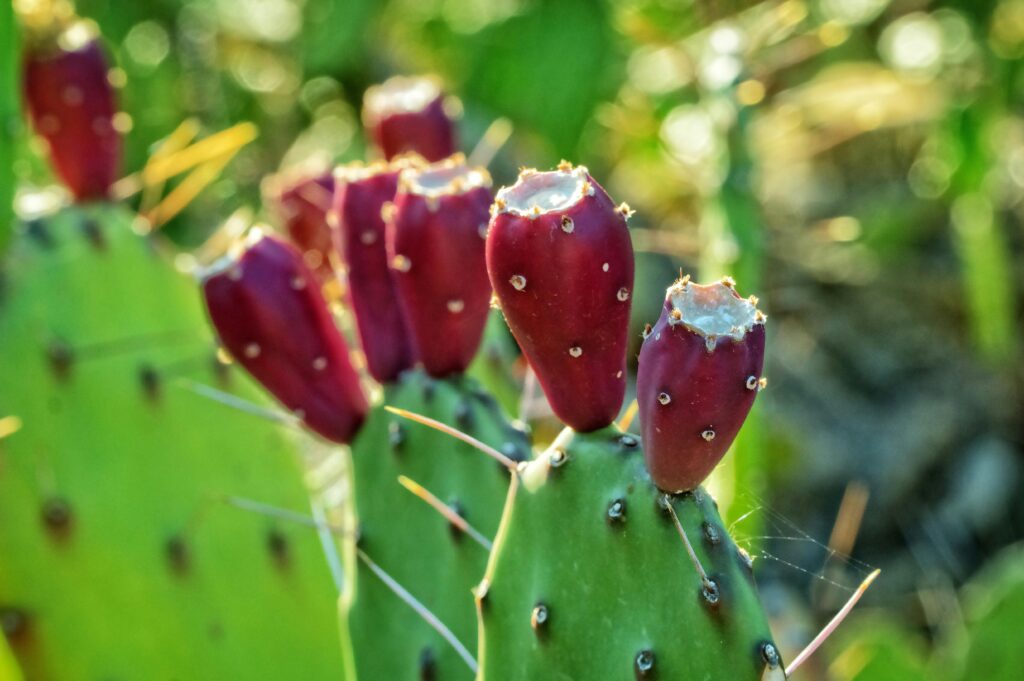 9 SUPER Foods That Will SAVE Your LIVER From DAMAGE